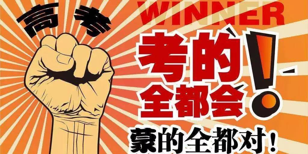 揭秘王中王與肖的不同之處，深度解析第123期，揭秘王中王與肖差異深度解析第123期，獨家對比與解讀