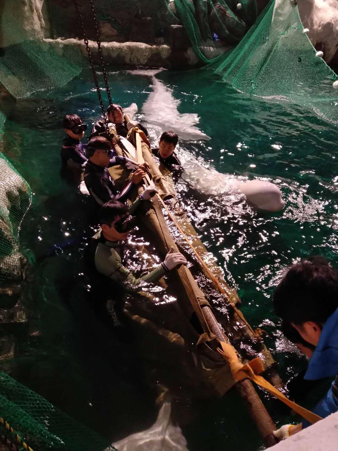 杭州極地海洋公園門票價格詳解，多少錢一張？，杭州極地海洋公園門票價格全解析，費用究竟是多少？