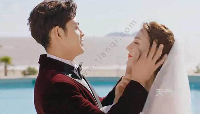 幸福觸手可及演員表介紹，幸福觸手可及演員陣容全解析