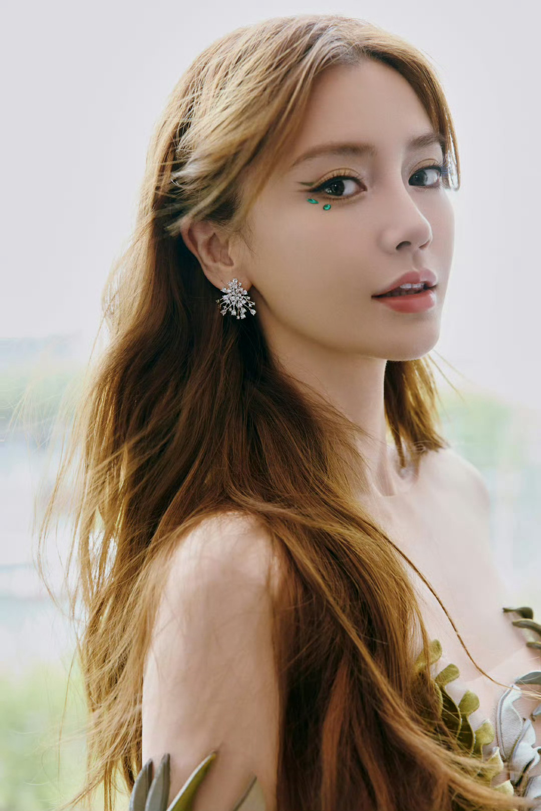 楊穎個(gè)人簡介，楊穎，個(gè)人簡介與生平概覽