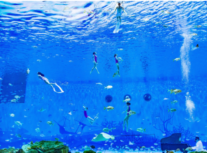 海昌海洋公園門(mén)票價(jià)格詳解，海昌海洋公園門(mén)票價(jià)格全面解析