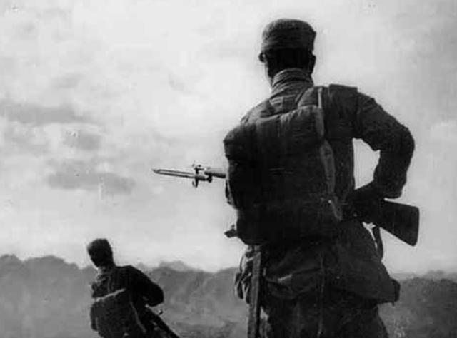 一肖中怎么賠，深度解析與策略探討，一肖中深度解析與策略探討，如何獲得賠償？