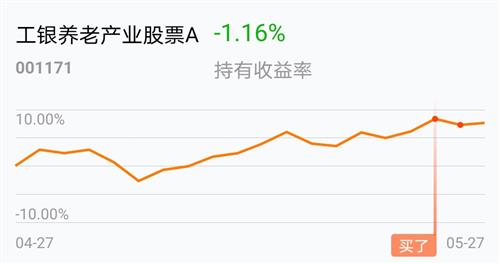 關(guān)于工銀養(yǎng)老產(chǎn)業(yè)股票基金凈值——解讀與洞察（001171），工銀養(yǎng)老產(chǎn)業(yè)股票基金凈值深度解讀與洞察（代碼，001171）