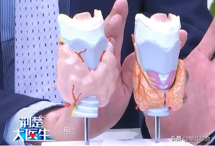 甲減的癥狀，深入了解甲狀腺功能減低的常見表現，深入了解甲狀腺功能減退的癥狀表現，甲減的征兆與常見表現