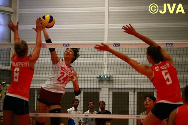 劉伯溫四肖一特，傳奇人物與神秘預(yù)言的完美結(jié)合，劉伯溫四肖一特，傳奇人物預(yù)言揭秘