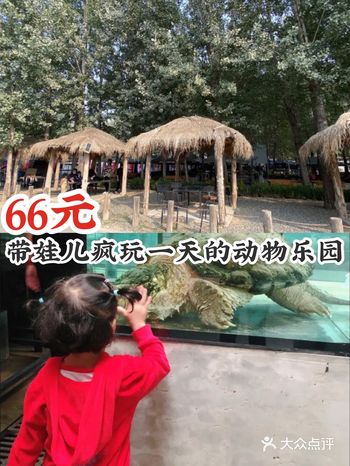 草橋海洋萌寵樂園門票攻略，暢游海洋世界的必備指南，草橋海洋萌寵樂園門票攻略，暢游海洋世界的指南