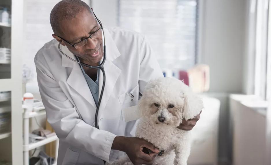 糖尿病的治療方法，全方位了解與治療策略，全方位了解與治療糖尿病，最佳治療策略與方法探討