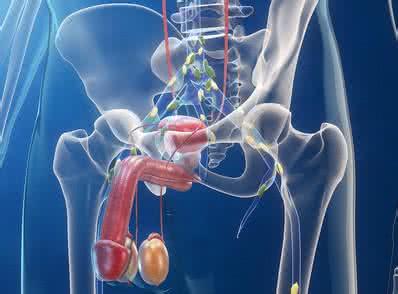 男性前列腺炎的癥狀及其影響，深入了解與應對，男性前列腺炎癥狀、影響與應對策略，全面深入了解