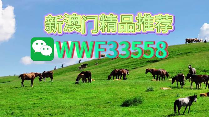 揭秘精準(zhǔn)預(yù)測一肖的秘密，解碼77777與88888的神秘數(shù)字組合，揭秘精準(zhǔn)預(yù)測生肖的秘密，數(shù)字組合77777與88888的神秘解碼