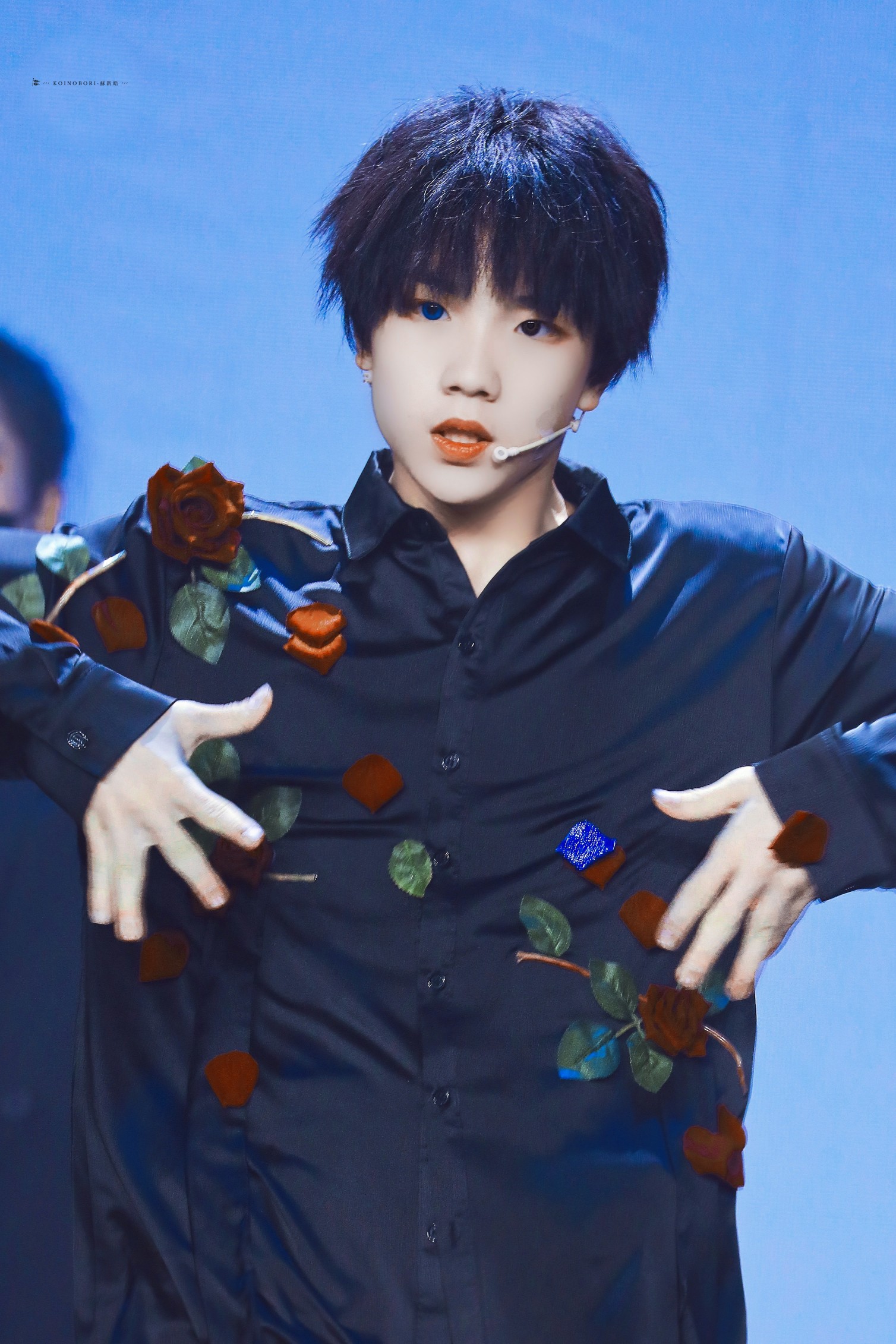 蘇新皓個人資料，揭秘一位閃耀明星的成長歷程，蘇新皓成長歷程揭秘，閃耀明星的個人資料