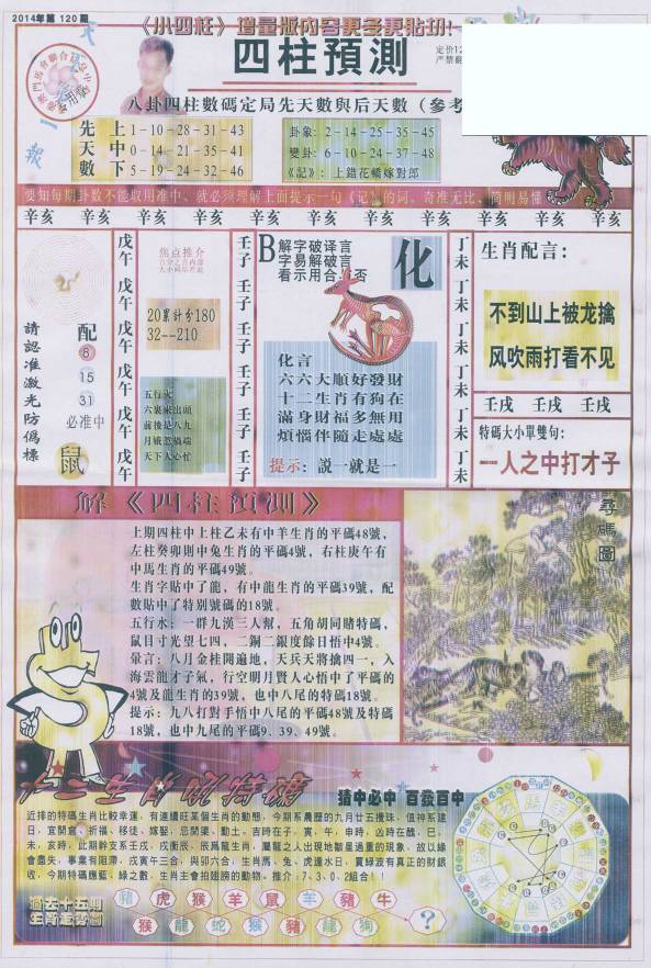 香港王中王找圖看生一肖，揭秘背后的奧秘，揭秘香港王中王找圖看生肖的奧秘