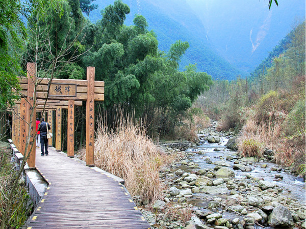 上海郊區(qū)旅游自駕景點推薦——探索郊野之美，上海郊區(qū)自駕游景點探索，郊野之美的秘境之旅