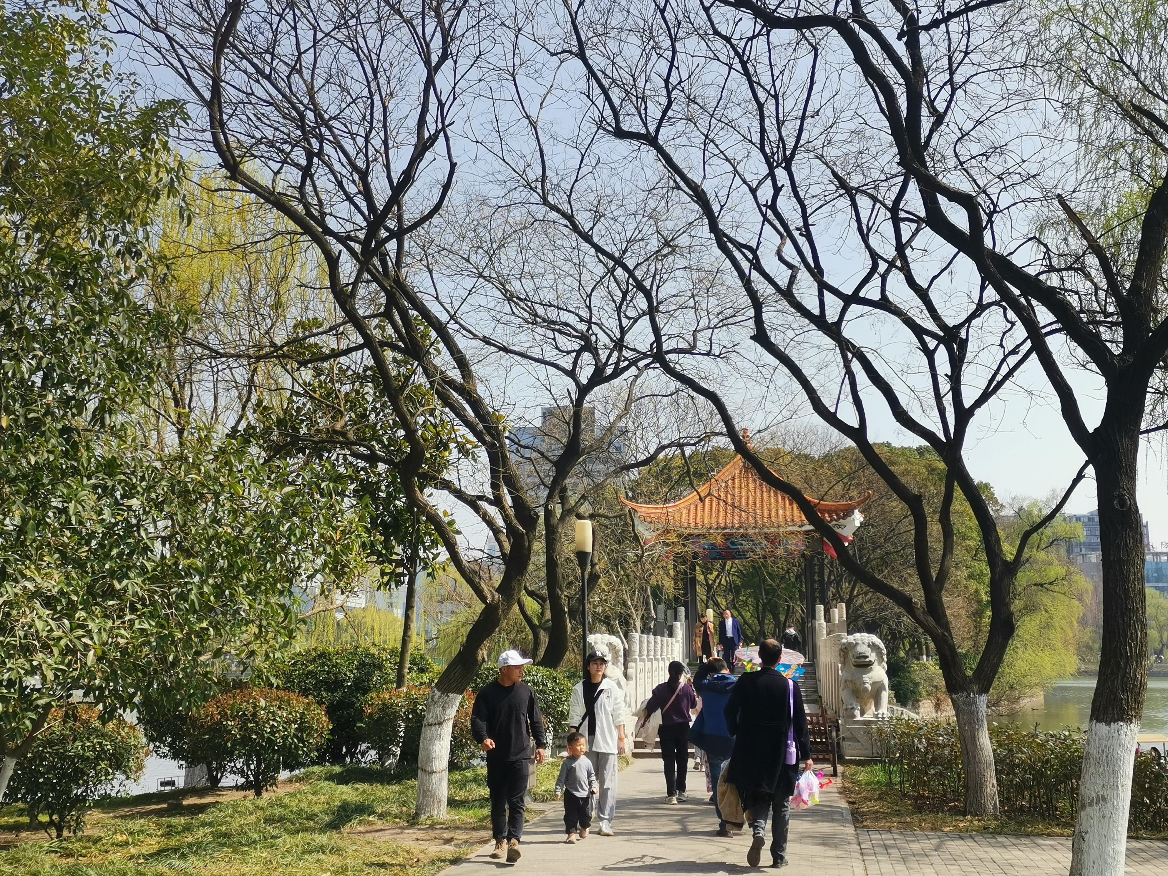 澳門75期最快天天開獎，揭秘彩票背后的秘密與策略，澳門75期天天開獎揭秘，彩票背后的秘密與策略探究