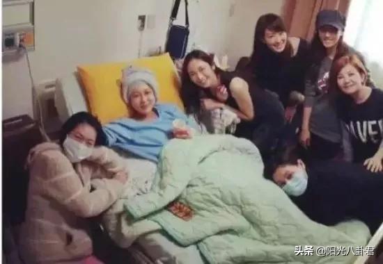 梁靜茹個(gè)人資料簡介，雙胞胎身份揭秘，梁靜茹個(gè)人資料揭秘，雙胞胎身份的探尋