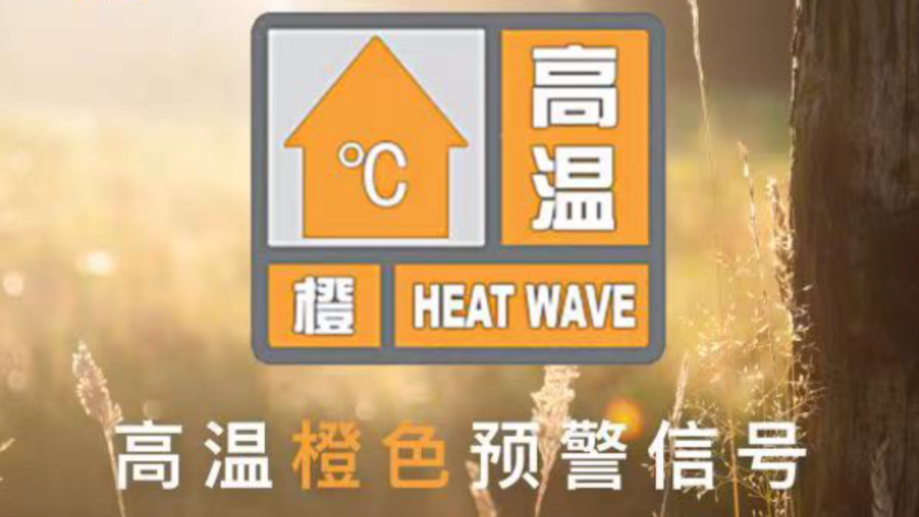 澳i門精準(zhǔn)免費(fèi)資料，探索與揭秘，澳i門精準(zhǔn)免費(fèi)資料揭秘探索之旅