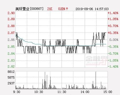 探索美好置業(yè)股吧，揭秘代碼000667背后的故事，揭秘美好置業(yè)股吧，探尋代碼000667背后的故事