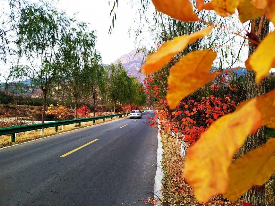 秦皇島自駕游旅游攻略，秦皇島自駕游全攻略，暢游海濱城市的必備指南