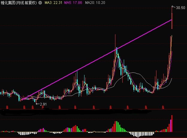 雅化集團(tuán)股票股吧，深度解析與前景展望，雅化集團(tuán)股票股吧深度解析及前景展望