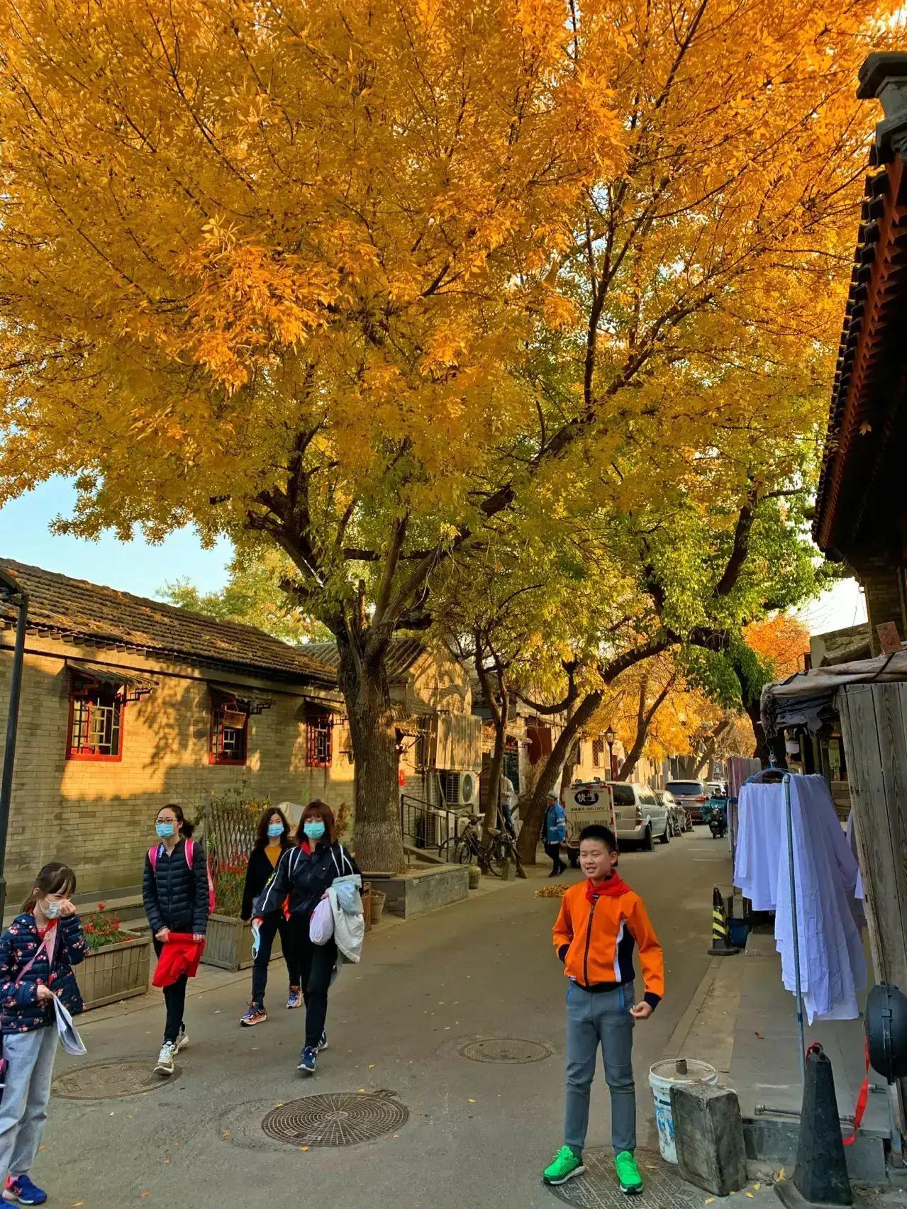 冬天北京一日游最佳景點攻略，北京冬季一日游最佳景點攻略