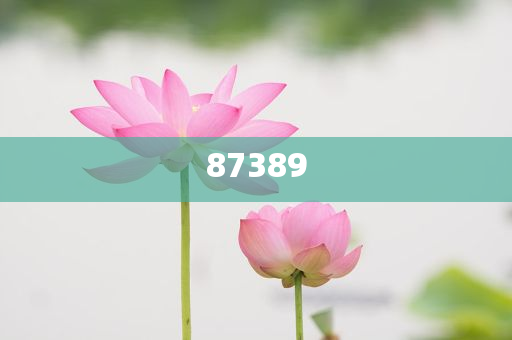 一肖是否包括特肖？深度解析生肖文化中的奧秘，深度解析生肖文化，一肖是否包含特肖？