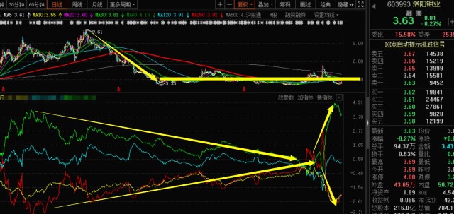關于股票行情分析，聚焦代碼為000838的股票動態(tài)，股票行情分析，聚焦代碼為000838的股票走勢動態(tài)