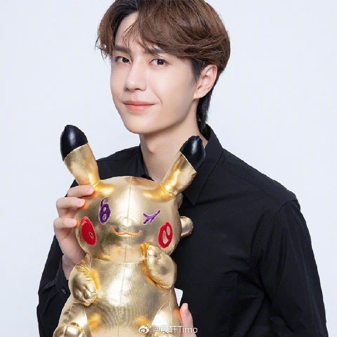 揭秘查王中王一肖中特，探尋背后的秘密，揭秘查王中王一肖中特背后的秘密真相