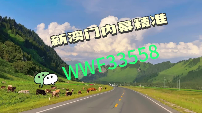 王中王一肖一馬中特一，探尋背后的秘密與獨特之處，探尋王中王一肖一馬中特一背后的獨特秘密