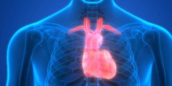 心肌炎的癥狀及其影響，深入了解與應(yīng)對，心肌炎癥狀、影響及應(yīng)對之策，全面深入了解與應(yīng)對指南