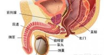 睪丸炎，了解、預(yù)防與治療，睪丸炎，全面解析、預(yù)防與治療方法