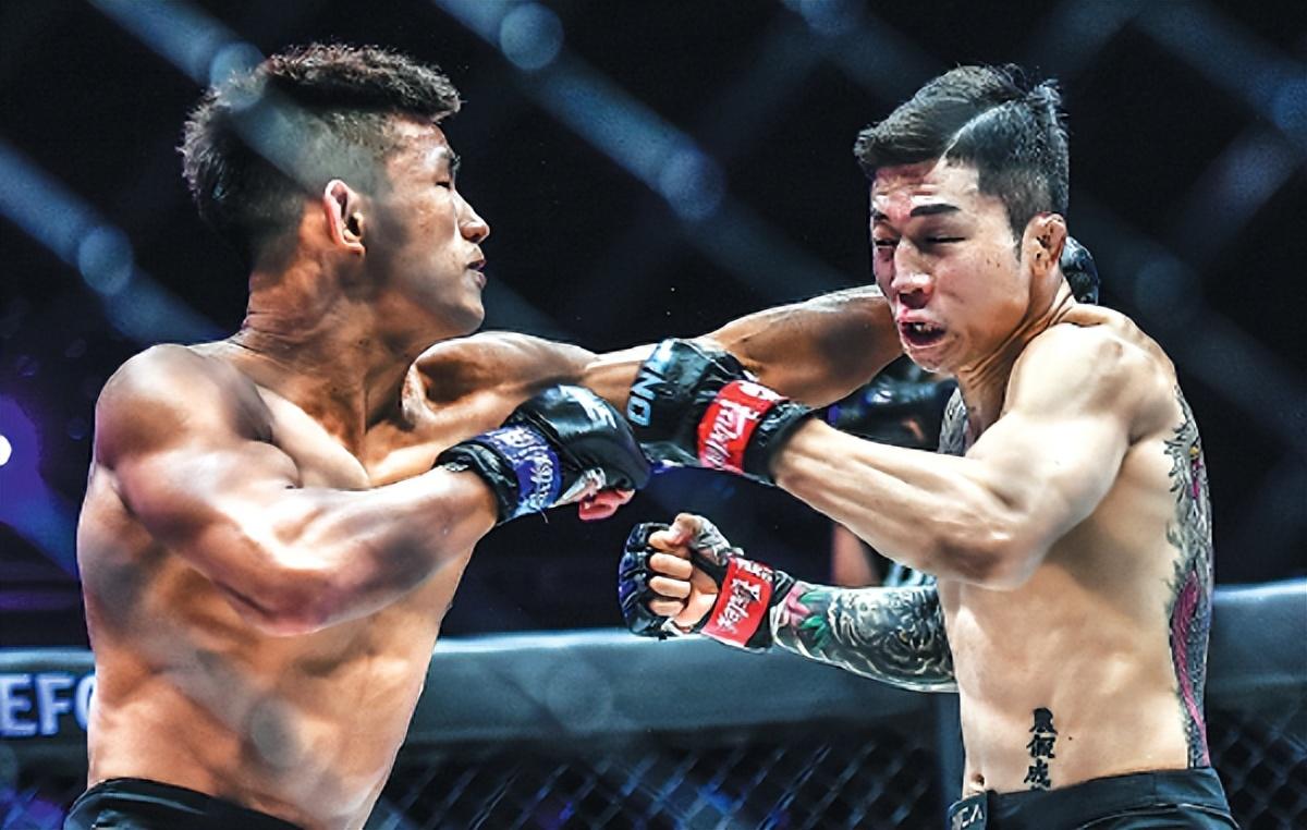 王中王07期指一生肖，深度解析與預(yù)測(cè)，王中王07期指一生肖，深度解析、預(yù)測(cè)與運(yùn)勢(shì)探討