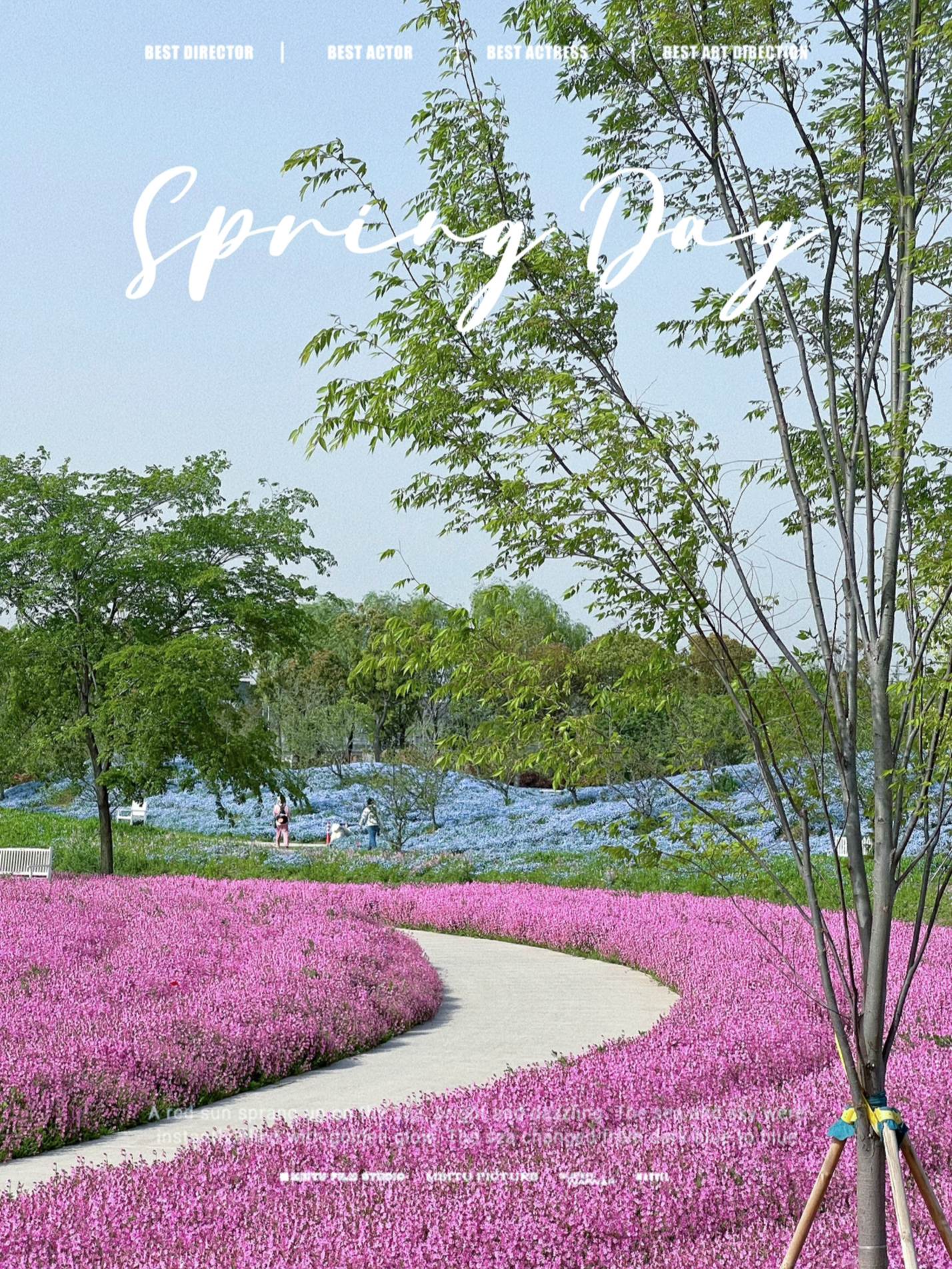 上海最美的花海公園，綻放的自然盛宴，上?；ê９珗@，自然盛宴之美