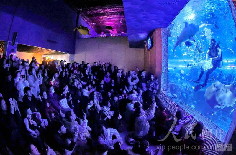 新澳2025今晚開獎(jiǎng)結(jié)果揭曉，期待與驚喜交織的時(shí)刻，新澳2025今晚開獎(jiǎng)結(jié)果揭曉，期待與驚喜的時(shí)刻來臨