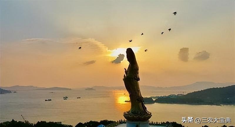 普陀山觀音菩薩二次顯靈照片，神秘經(jīng)歷與信仰之力，普陀山觀音菩薩二次顯靈，神秘經(jīng)歷揭秘信仰之力