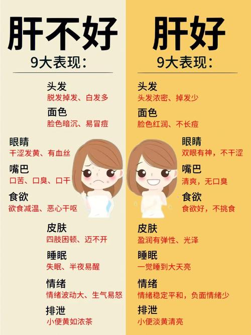 肝不好有哪些癥狀，全面解析肝臟健康警示信號，肝臟健康警示信號解析，癥狀表現(xiàn)與肝臟健康關系全面解讀