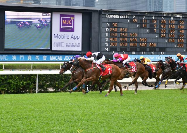 澳門賽馬會(huì)資料最準(zhǔn)一碼，深度解析與最新資訊，澳門賽馬會(huì)資料解析，最新一碼與深度資訊匯總