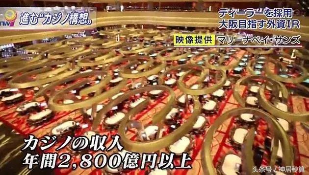 新澳門特生肖走勢圖及其相關SEO分析，澳門特生肖走勢圖及其SEO策略分析