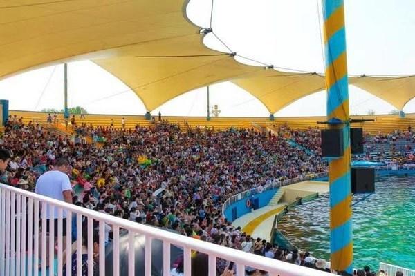 秦皇島樂(lè)島海洋王國(guó)，探尋神秘的藍(lán)色王國(guó)，秦皇島樂(lè)島海洋王國(guó)，探尋藍(lán)色王國(guó)的奧秘