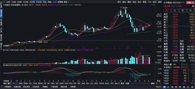 關(guān)于股票股吧中的002236股票深度解析，股票股吧中的002236股票深度剖析與解讀