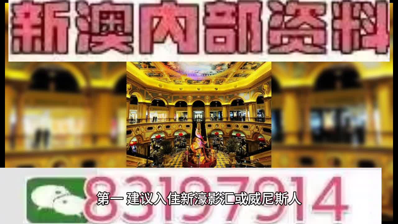 澳門王中王一肖中特馬——揭秘彩票背后的秘密，澳門彩票揭秘，王中王一肖特馬背后的秘密