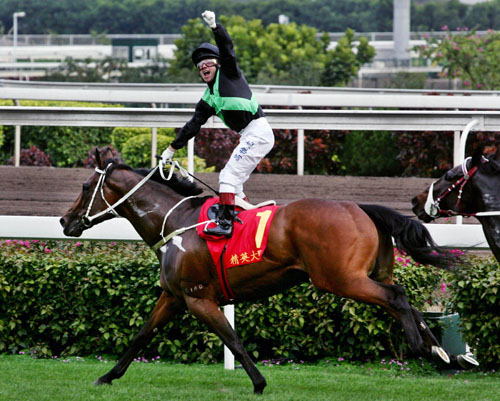 香港王中王一肖中特馬的奧秘與探索，香港王中王一肖中特馬的奧秘探索之旅