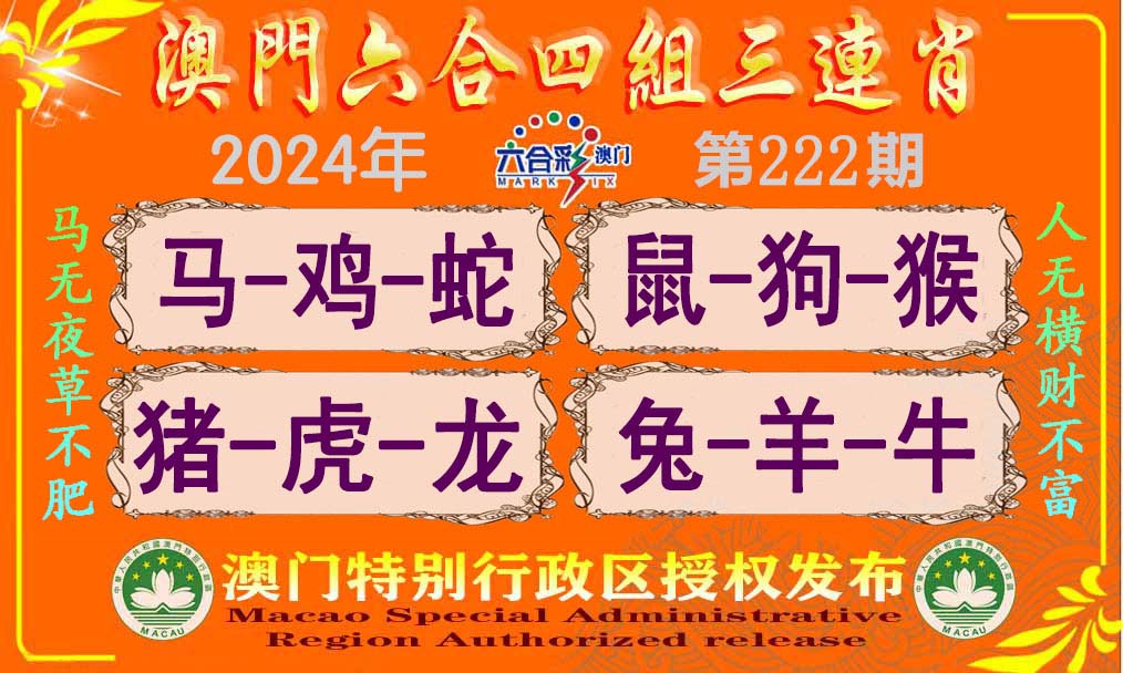 新澳門單雙王，揭秘背后的秘密與策略，揭秘新澳門單雙王背后的秘密與策略之道