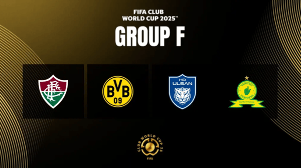 2025新澳正版資料精準(zhǔn)解析與預(yù)測，2025新澳正版資料精準(zhǔn)解析與趨勢預(yù)測