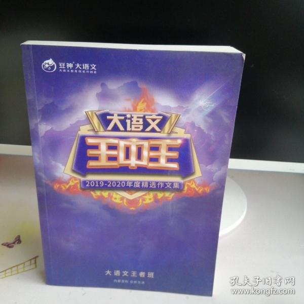 揭秘2019王中王資料一肖，全方位解讀背后的故事，揭秘王中王資料一肖背后的故事，全方位解讀與深度剖析