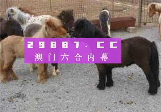 王中王馬會(huì)平特一肖論壇，深度探討與SEO優(yōu)化策略，王中王馬會(huì)平特一肖論壇，深度探討SEO優(yōu)化策略