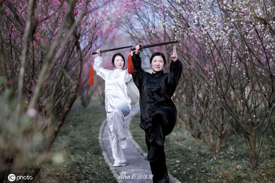 劉伯溫全年六肖選一肖，揭秘預(yù)測背后的神秘故事與真相，劉伯溫六肖選一揭秘預(yù)測真相與神秘故事