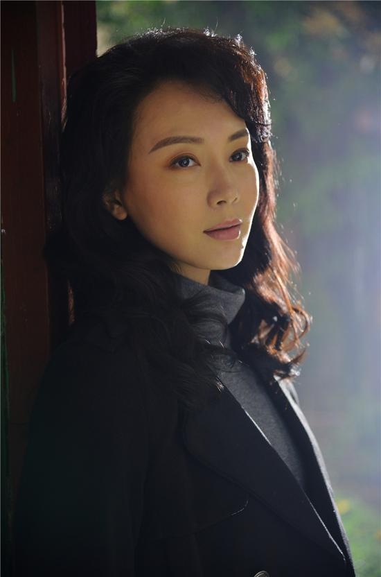 陳數(shù)演的電視劇，演技與魅力的展現(xiàn)，陳數(shù)演技展現(xiàn)，電視劇中的魅力與風(fēng)采