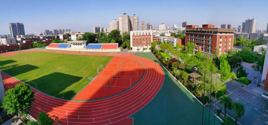 特平一肖王中王大公開，揭秘背后的秘密與策略，揭秘特平一肖王中王大策略與背后秘密