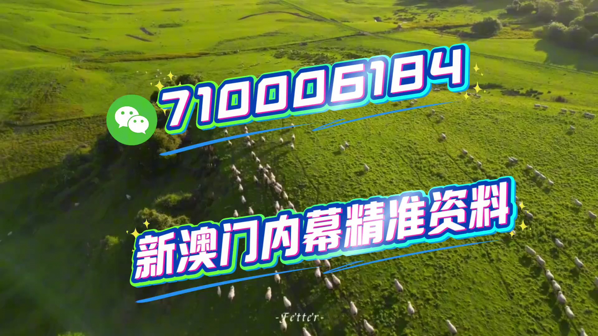 關(guān)于澳門特馬今晚開碼與未來的展望（2023年視角），澳門特馬未來展望，今晚開碼與未來趨勢分析（2023年視角）