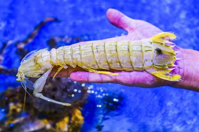 海南正規(guī)旅行社有哪些，優(yōu)質(zhì)選擇一覽，海南正規(guī)旅行社優(yōu)質(zhì)選擇一覽表