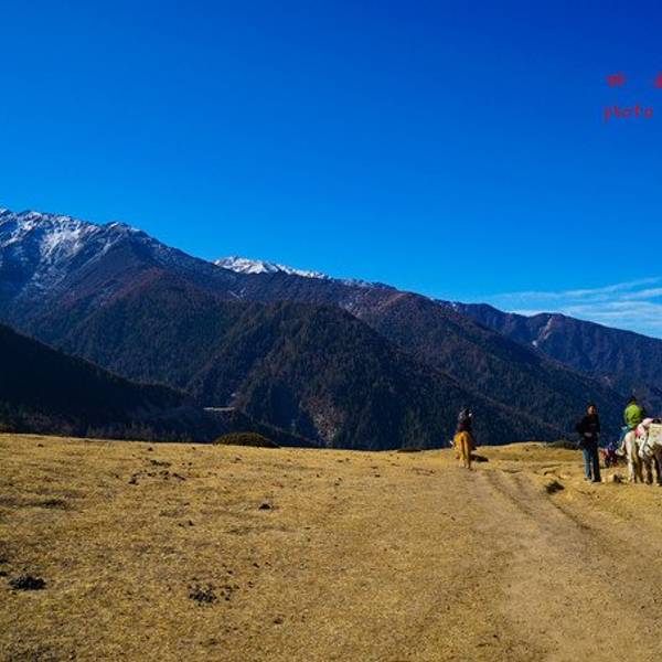 四姑娘山門票價格詳解，多少錢一張？，四姑娘山門票價格全面解析，票價究竟多少？